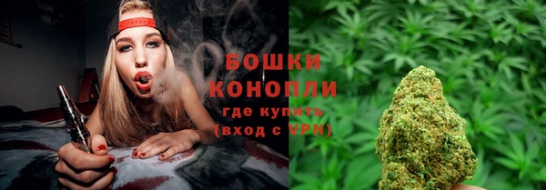альфа пвп Дмитровск