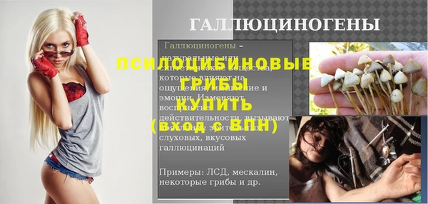 альфа пвп Дмитровск